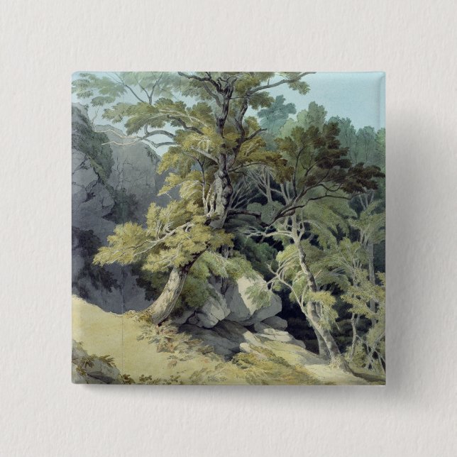 Canonteign Devon Knapp (Framsida)