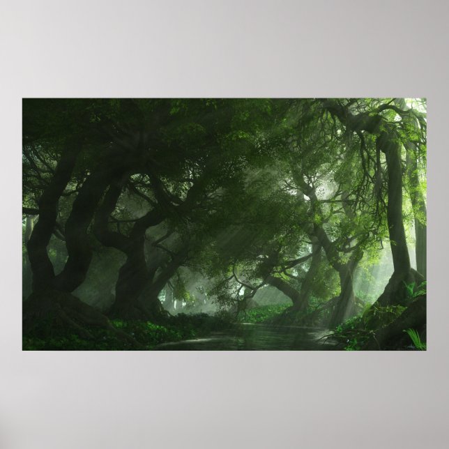 Canopy Bäck Poster (Framsidan)