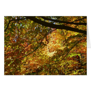 Canopy Höst löv I-Gultens höstnatur Hälsningskort