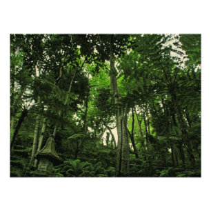 Canopy Lushness @ Madeira Portugal Foto