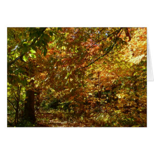 Canopy of Höst löv II Gult Autumn Photography Hälsningskort