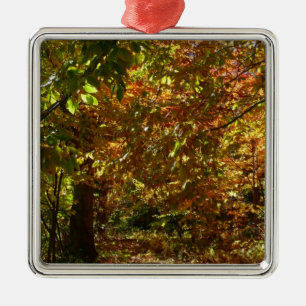 Canopy of Höst löv II Gult Autumn Photography Julgransprydnad Metall