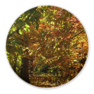 Canopy of Höst löv II Gult Autumn Photography Knopp