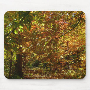 Canopy of Höst löv II Gult Autumn Photography Musmatta