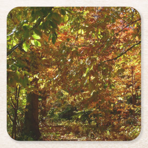 Canopy of Höst löv II Gult Autumn Photography Underlägg Papper Kvadrat