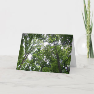 Canopy Tack Kort