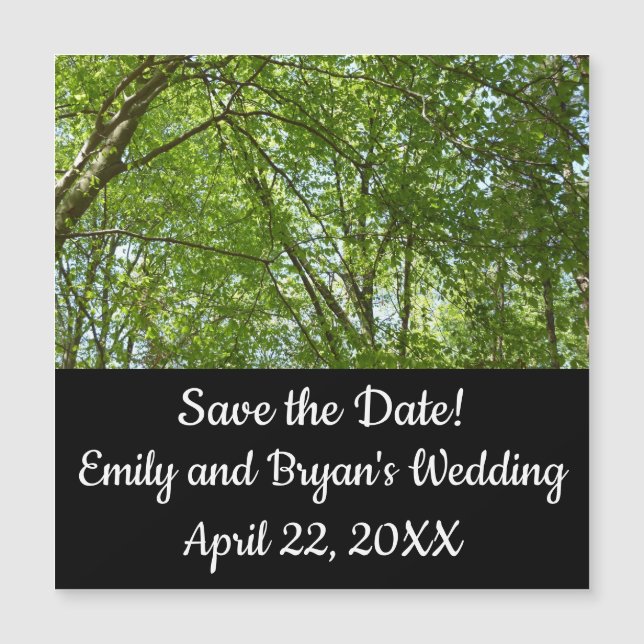 Canopy Vår Löv Grönt Nature Scene (Framsida)