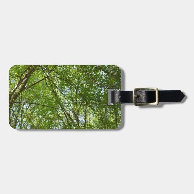 Canopy Vår Löv Grönt Nature Scene Bagagebricka (Horisontell Framsida)