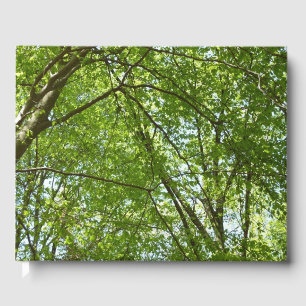Canopy Vår Löv Grönt Nature Scene Gästböcker