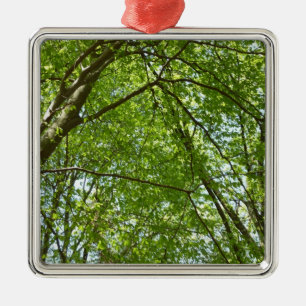 Canopy Vår Löv Grönt Nature Scene Julgransprydnad Metall