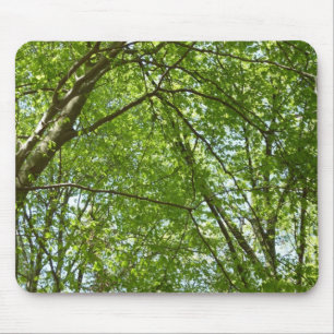 Canopy Vår Löv Grönt Nature Scene Musmatta