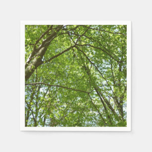 Canopy Vår Löv Grönt Nature Scene Pappersservett