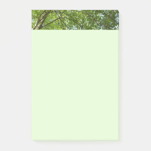 Canopy Vår Löv Grönt Nature Scene Post-it Block