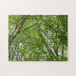 Canopy Vår Löv Grönt Nature Scene Pussel