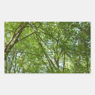 Canopy Vår Löv Grönt Nature Scene Rektangulärt Klistermärke