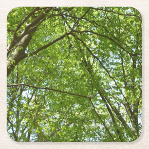 Canopy Vår Löv Grönt Nature Scene Underlägg Papper Kvadrat
