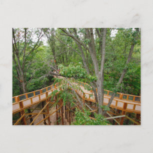 Canopy Walk, Blacklick Skogen Metro Park, Ohio Vykort