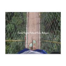 Canopy walkway Taman Negara National Park Malaysia