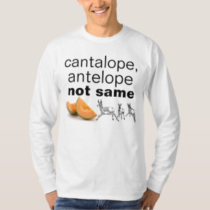 cantaloupe & antilop tee
