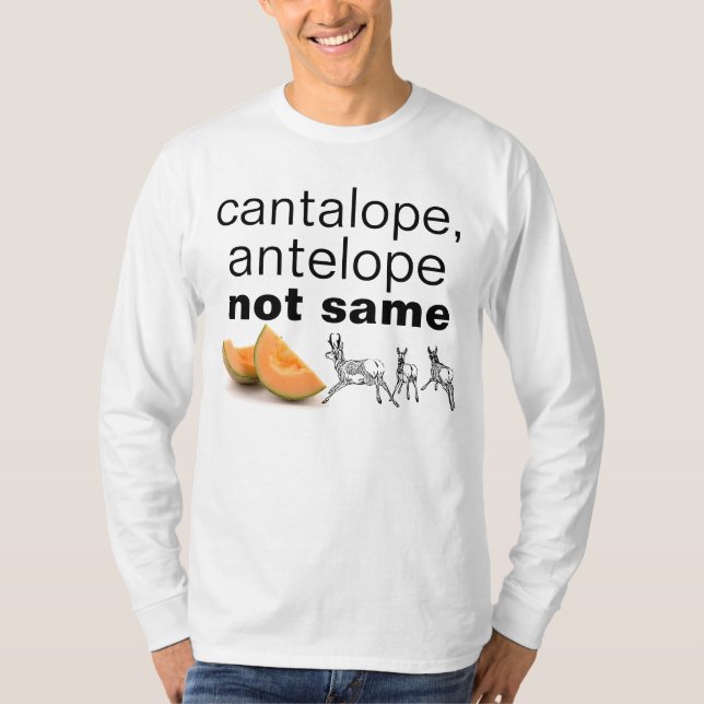 cantaloupe & antilop tee (Framsida)