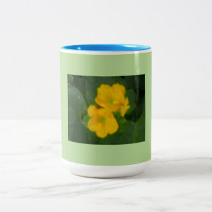 Cantaloupe Blooms Två-Tonad Mugg