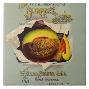 Cantaloupe Seed Advertising Art Antique Kakelplatta