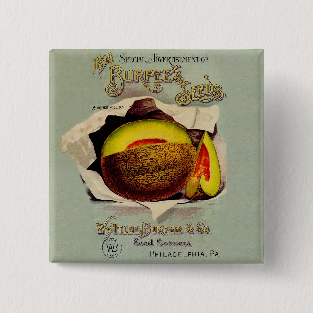 Cantaloupe Seed Advertising Art Antique Knapp (Framsida)