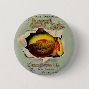 Cantaloupe Seed Advertising Art Antique Knapp