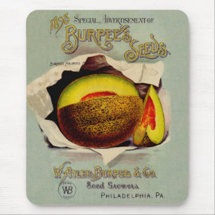 Cantaloupe Seed Advertising Art Antique Musmatta