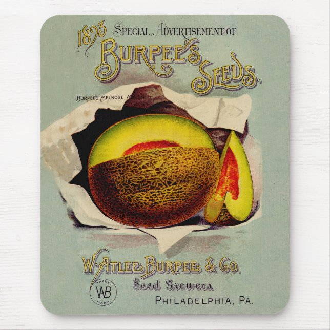 Cantaloupe Seed Advertising Art Antique Musmatta (Framsidan)