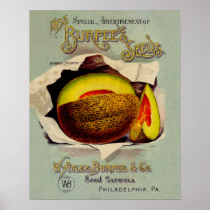 Cantaloupe Seed Advertising Art Antique Poster