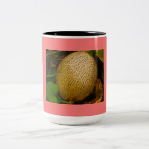 Cantaloupe Två-Tonad Mugg