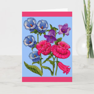 canterbury klockor i rosa blue och lila kort