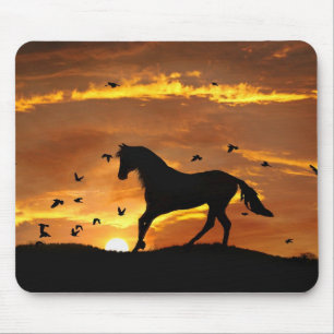 Cantering Horse and Birds in Sunset Musmatta