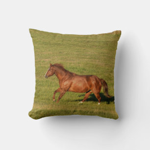 Cantering, Running Chestnut Horse Equine Photo Kudde