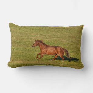 Cantering, Running Chestnut Horse Equine Photo Lumbarkudde