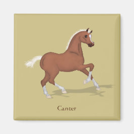Cantering Sorrel Foal Gaits of the Horse Magnet