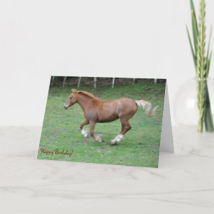 Cantering Welsh cob-födelsedag Kort