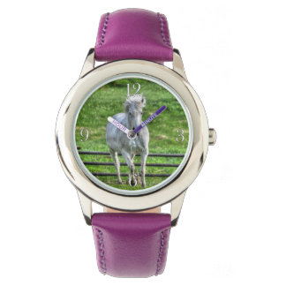 Cantering White Horse Equine Photo Armbandsur