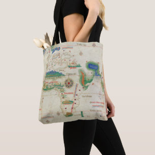 Cantino Planisphere 1502 Tygkasse