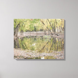 Canvas ~ 1