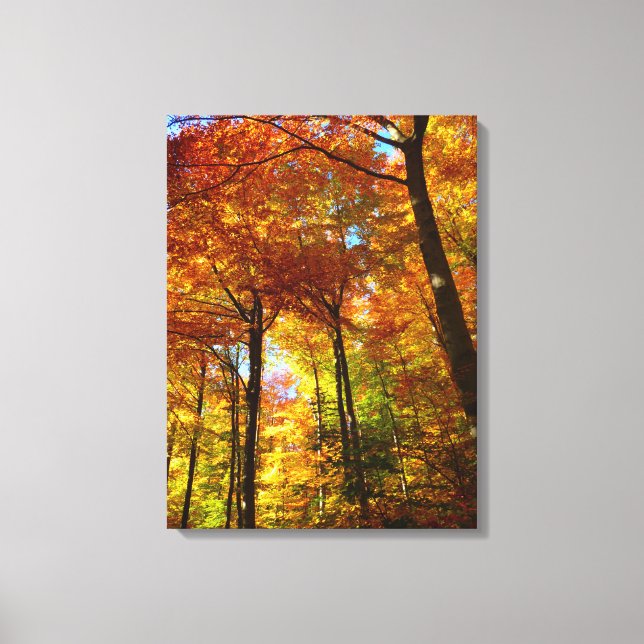 Canvas Art-Autumn Träd (Framsida)