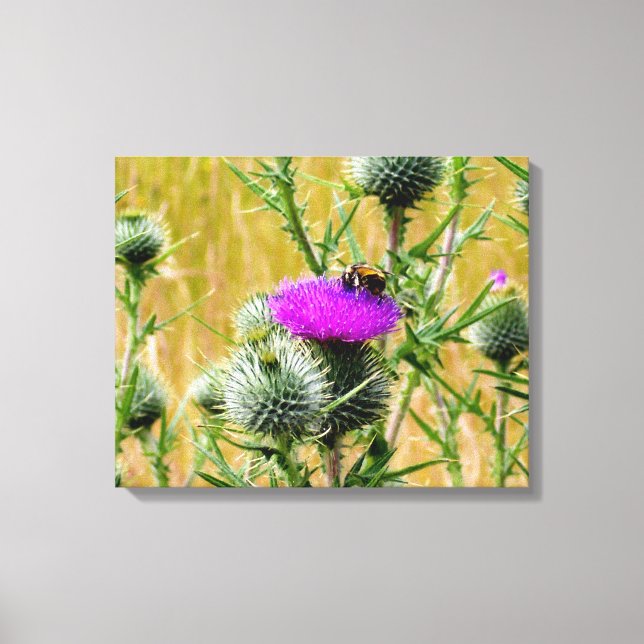 Canvas Art Bee på Thistle (Framsida)