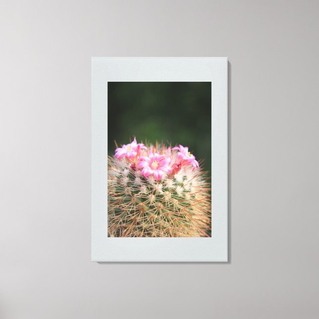 Canvas Art-Cactus (Framsida)