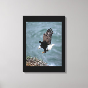 Canvas Art-Eagle