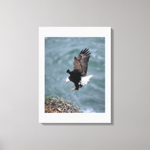 Canvas Art-Eagle