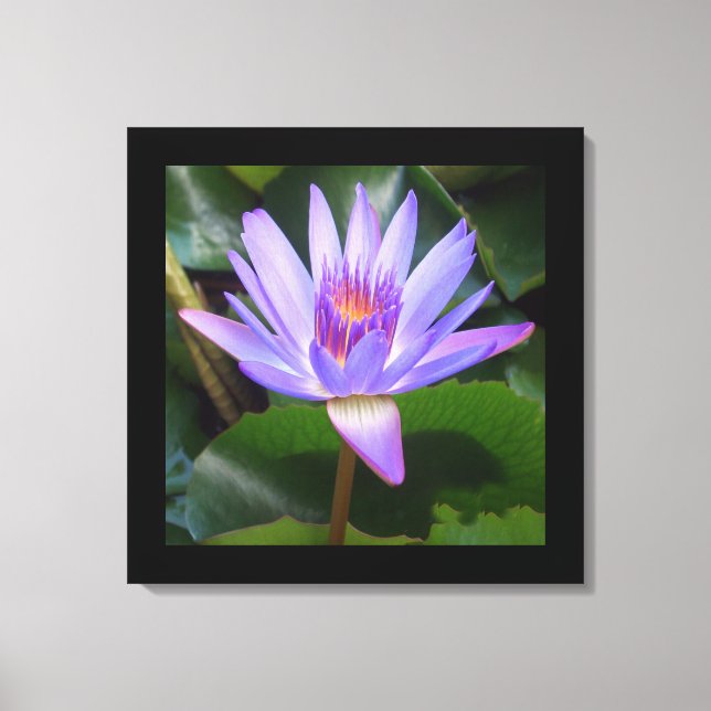 Canvas Art-Lotus Flower (Framsida)