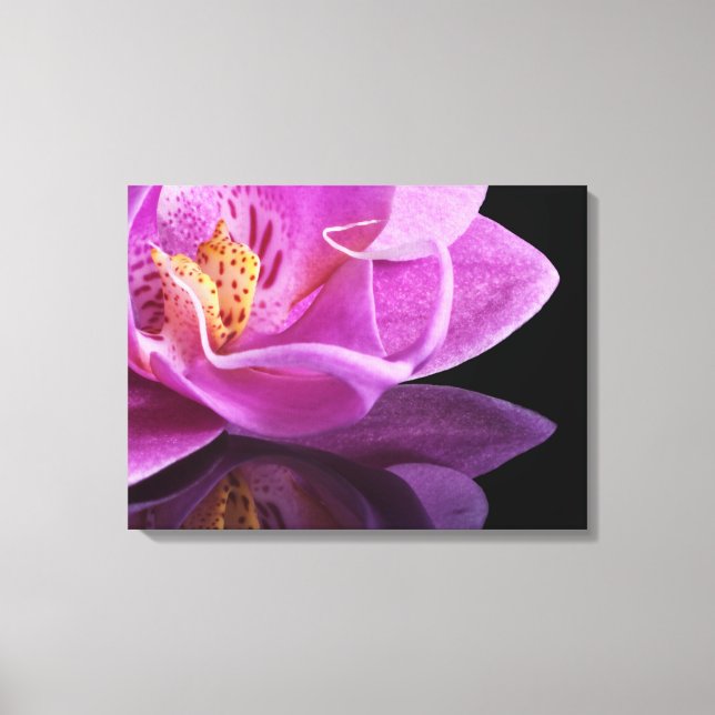 Canvas Art-Orchid (Framsida)