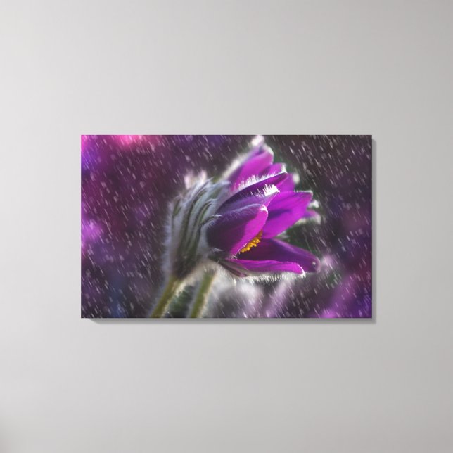 Canvas Art Print - Vår Showers (Framsida)