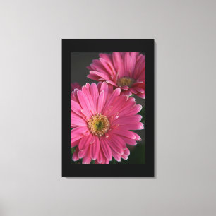 Canvas Art-Rosa-Daisy